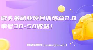 黄岛主·微头条副业项目训练营2.0