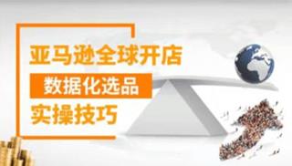 亚马逊全球开店数据化选品实操技巧价值399元
