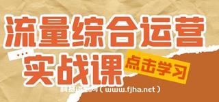 流量综合·运营实战课-网盘