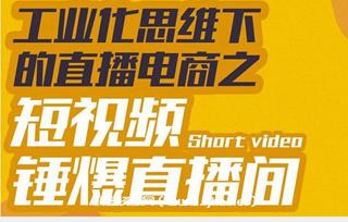 尼克派·工业化思维下的直播电商