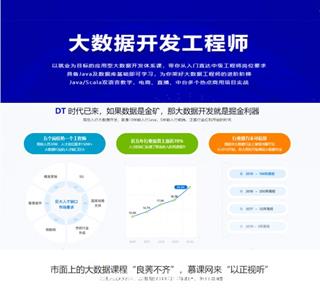 大数据开发工程师（完结）价值3888元