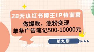 厦九九28天小红书博主IP特训营第9期