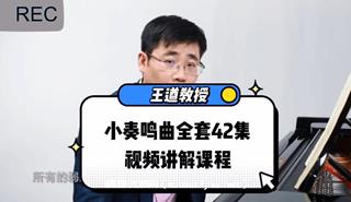 王遒教授：小奏鸣曲（钢琴教学）网盘