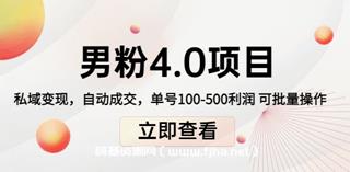 道哥说创业·男粉项目4.0-网盘