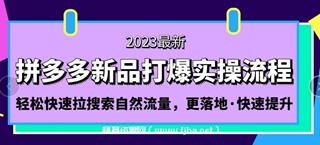 拼多多-新品打爆实操流程：轻松快速拉搜索自然流量-网盘