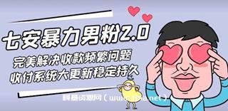 七安暴力男粉2.0课程-网盘