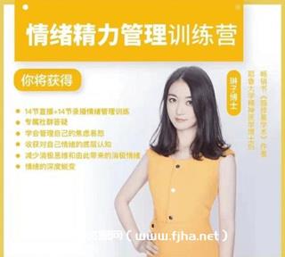酷炫脑琳子博士-情绪精力管理训练营第5期