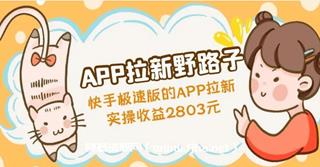 APP拉新野路子，快手拉新-网盘