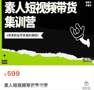 素人短视频带货集训营价值599元