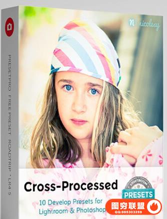 国外大师级怀旧Lightroom/ACR预设