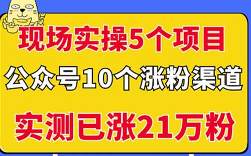 实操5个公众号项目，10个涨粉渠道，实测已涨21万粉！