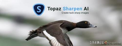 ps插件AI人工智能清晰锐化Topaz Sharpen AI 2.1.0中文汉化版 WINX64-ps滤镜插件