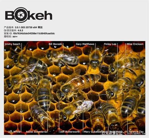 ps插件Alien Skin Bokeh 2.0.1.503汉化版 PS景深虚化插件(OSX10.13.2)