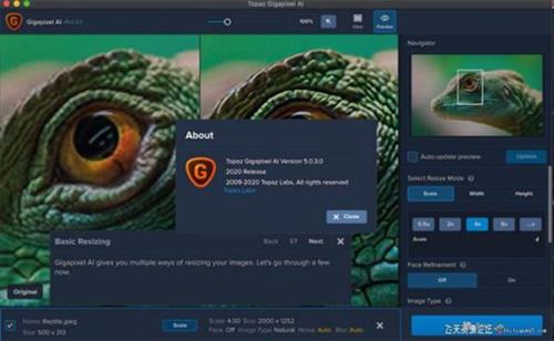ps插件Topaz Gigapixel AI for mac(人工智能无损放大软件)v5.1.0最新版