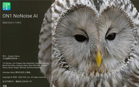 ON1 NoNoise AI 2022 16.0.1 AI降噪软件/PS滤镜