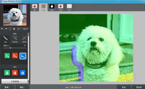ps插件Topaz ReMask 5.0.1汉化版|顶级抠图滤镜Topaz ReMask 5支持CC2019-ps滤镜插件