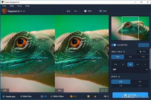 ps插件Topaz Gigapixel AI 5.4.4汉化版|AI人工智能无损放大插件Topaz Gigapixel AI中文版-ps滤镜插件