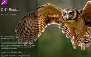 ps插件终极图像缩放器 ON1 Resize 2021中文版 放大图片1000%Win/MAC-