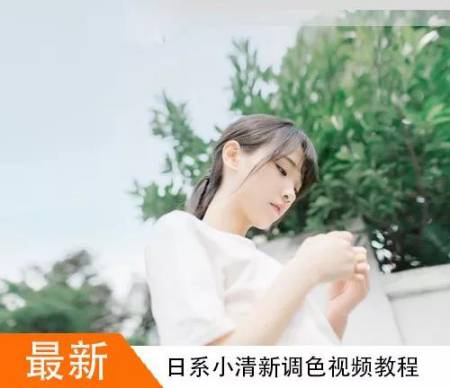 小醒ISO网红摄影视频教程私教班课堂 PS教程日系人像写真调色教程