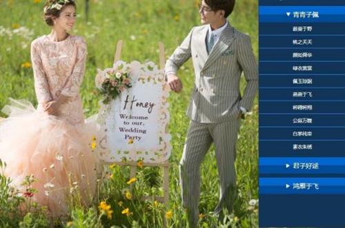 内置多款预设一键调色插件-青鸟 WIN/MAC