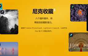 DxO Nik Collection 5.5 中文版插件套装WINX64+MAC 含系统教程
