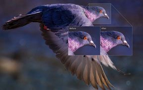 AI人工智能清晰锐化PS插件 Topaz Sharpen AI 4.1.0中文汉化版 WINX64+MAC