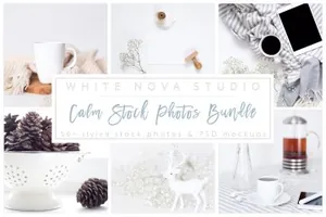 冷色调场景样机 Calm Stock Photos Bundle