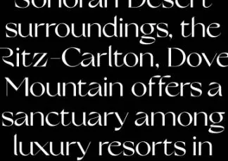 美国怪诞艺术女性婚礼化妆美容海报杂志排版英文衬线字体 Nikolas Type - Grand Slang