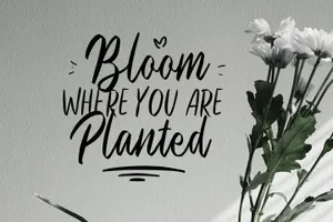 一款艺术年轻化英文字体Black Hymned - Font Trio