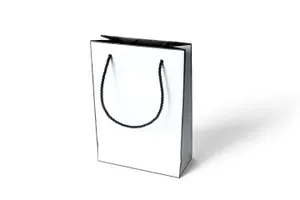 时尚的纸袋样机 Fashion paper bags mockups