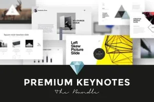 时尚格调PPT模版Premium_Keynotes