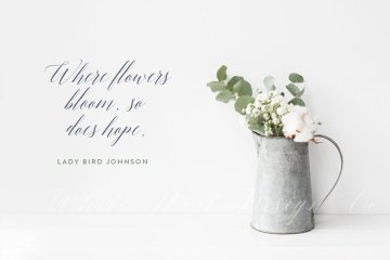 小资场景的插花效果 Styled stock photography