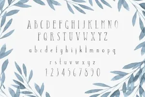 复古清新设计字体 Tall Abbey Serif   5 Logo Templates
