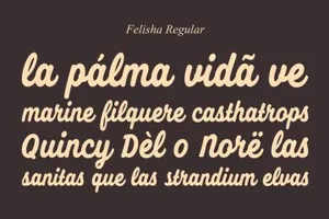 时尚手写字体 Felisha Script