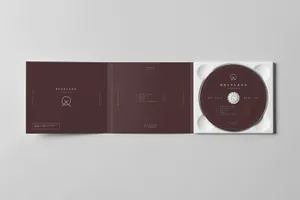 高端质感的时尚奢华精装CD光盘cd-pack-mock-up