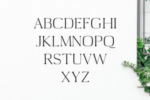 漂亮的衬线字体 Medric Serif 4 Font Family