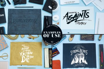 常见的办公室场景样机 Light  Feathers