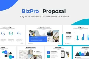 商业项目投标竞标幻灯片模板 BizPro  Proposal Keynote Template