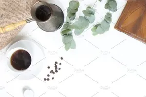 商业咖啡场景的样机 Eucalyptus BUNDLE for business