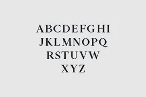 经典漂亮的衬线字体 Aara Serif 9 Font Family Pack