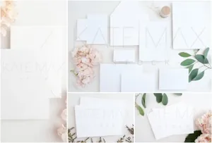 卡片样机模板包 Blush Card Mockups Bundle