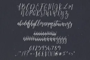 漂亮的手绘英文字体 Florence  A Beautiful Script