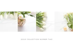 时尚清新的照片素材 Styled Stock Photo Bundle