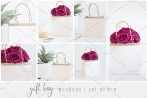 礼物袋照片素材 Gift Bag Stock Photos  Mockups