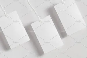 16服装吊牌设计样机1 Clothes label tag blank white