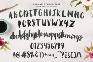 厚重时尚的手写英文字体 Smitten Script   Bonus Goodies