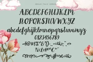 手写个性字体 Country Chic Script