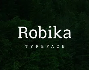 Robika Serif Typeface 一款独特的衬线字体 精选字体