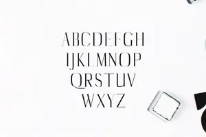 漂亮时尚的英文字体包 Catheryn Serif 4 Font Family Pack