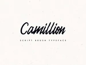 一款笔刷手写英文字体Camellion Brush Script Typefac